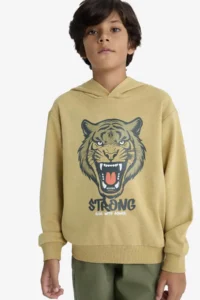 DeFacto Hooded Printed Sweatshirt Boy - Image 3