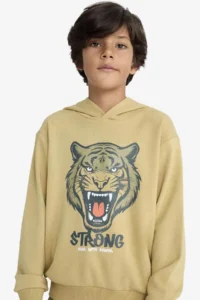 DeFacto Hooded Printed Sweatshirt Boy - Image 4