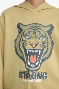 DeFacto Hooded Printed Sweatshirt Boy - Image 5