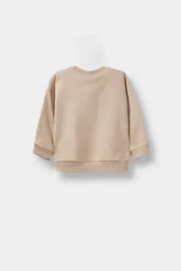 DeFacto Crew Neck Printed Soft Fuzzy Inside 2-Piece Sweatshirts for Baby Boy - Image 4