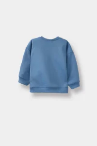 DeFacto Crew Neck Printed Soft Fuzzy Inside 2-Piece Sweatshirts for Baby Boy - Image 7