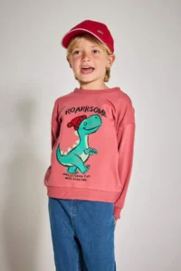 DeFacto Crew Neck Dinosaur Printed Soft Lined Sweatshirt Baby Boy - Image 3