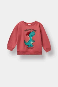 DeFacto Crew Neck Dinosaur Printed Soft Lined Sweatshirt Baby Boy - Image 4