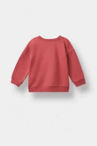 DeFacto Crew Neck Dinosaur Printed Soft Lined Sweatshirt Baby Boy - Image 5