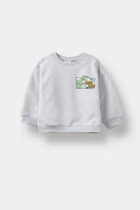 DeFacto Crew Neck Dinosaur Printed Soft Fuzzy Sweatshirt Baby Boy - Image 4