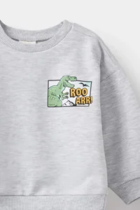 DeFacto Crew Neck Dinosaur Printed Soft Fuzzy Sweatshirt Baby Boy - Image 5