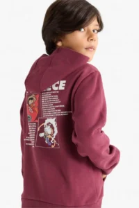 DeFacto One Piece Hooded Soft Furry Back Printed Sweatshirt Boy