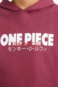DeFacto One Piece Hooded Soft Furry Back Printed Sweatshirt Boy - Image 4