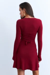 Cool & Sexy Women Burgundy tied up Camisole Mini Dress - Image 2