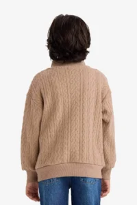DeFacto Half Zipper Soft Fuzzy Sweatshirt Boy - Image 6