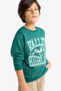 DeFacto Crew Neck Printed Sweatshirt Boy