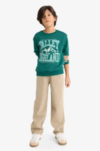 DeFacto Crew Neck Printed Sweatshirt Boy - Image 2
