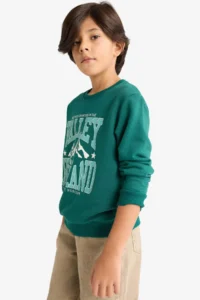 DeFacto Crew Neck Printed Sweatshirt Boy - Image 3
