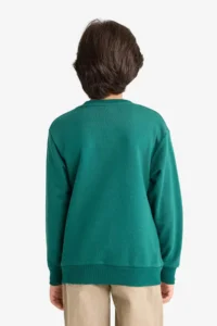 DeFacto Crew Neck Printed Sweatshirt Boy - Image 5