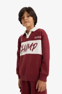 DeFacto Oversize Wide Fit Polo Neck Printed Soft Lined Sweatshirt Boy - Image 3