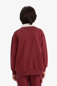 DeFacto Oversize Wide Fit Polo Neck Printed Soft Lined Sweatshirt Boy - Image 5