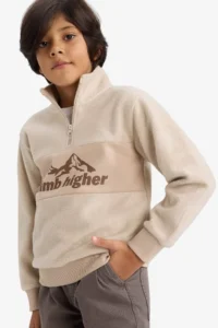 DeFacto Half Zipper Printed Fleece Sweatshirt Boy
