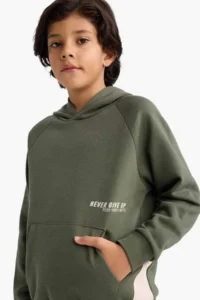 DeFacto Hooded Printed Soft Lined Sweatshirt Boy