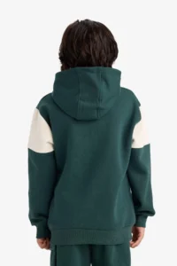 DeFacto Hooded Printed Soft Lined Sweatshirt Boy - Image 5