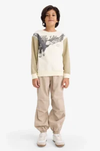 DeFacto Crew Neck Printed Soft Lined Sweatshirt Boy - Image 2