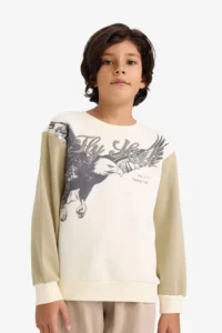 DeFacto Crew Neck Printed Soft Lined Sweatshirt Boy - Image 3