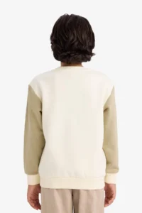 DeFacto Crew Neck Printed Soft Lined Sweatshirt Boy - Image 5