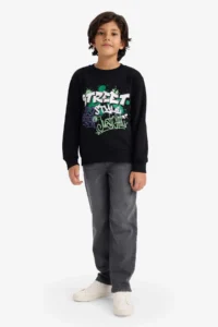 DeFacto Crew Neck Printed Soft Lined Sweatshirt Boy - Image 2