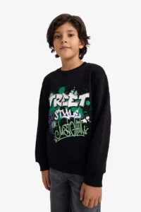 DeFacto Crew Neck Printed Soft Lined Sweatshirt Boy - Image 3