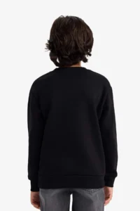 DeFacto Crew Neck Printed Soft Lined Sweatshirt Boy - Image 5