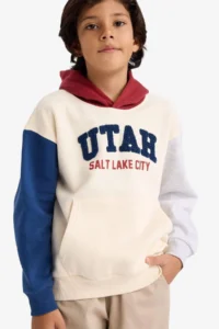 DeFacto Oversize Wide Fit Hooded Printed Soft Lined Sweatshirt Boy - Image 4