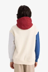 DeFacto Oversize Wide Fit Hooded Printed Soft Lined Sweatshirt Boy - Image 6