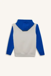 DeFacto Hooded Printed Soft Lined Sweatshirt Boy - Image 3