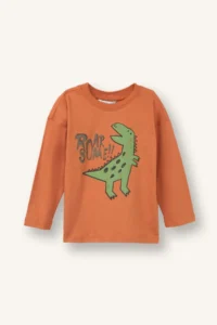 DeFacto Pack of 2 Dinosaur Printed T-Shirts for Baby Boy - Image 2