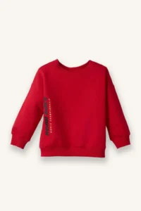 DeFacto Crew Neck Printed Sweatshirt Baby Boy - Image 4