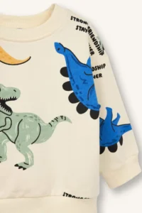 DeFacto Dinozor Patterned Sweatshirt Baby Size - Image 3