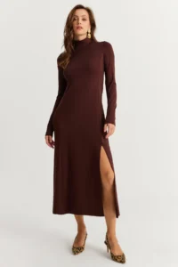 Cool & Sexy Women Brown Turtleneck Midi Dress