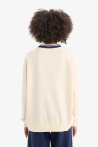 DeFacto Oversize Wide Fit V-Neck Printed Sports Sweatshirt - Image 6