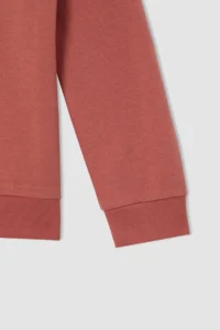 DeFacto Boy's Oversize Fit Crew Neck Back Printed Sweatshirt - Image 4
