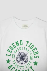 DeFacto Boys' Crew Neck Short Sleeve T-Shirt - Image 6