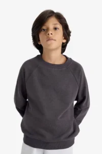 DeFacto Crew Neck Basic Plain School Sweatshirt Boy - Image 4