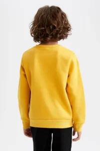 DeFacto Boys' Crew Neck Sweatshirt - Image 3