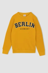 DeFacto Boys' Crew Neck Sweatshirt - Image 4
