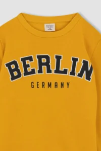 DeFacto Boys' Crew Neck Sweatshirt - Image 5