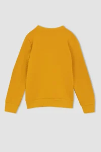 DeFacto Boys' Crew Neck Sweatshirt - Image 6
