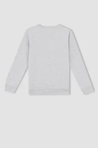 DeFacto Boys' Crew Neck Sweatshirt - Image 6