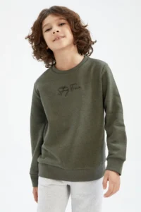 DeFacto Boys' Crew Neck Sweatshirt