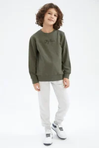 DeFacto Boys' Crew Neck Sweatshirt - Image 2