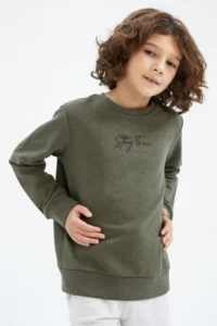 DeFacto Boys' Crew Neck Sweatshirt - Image 3