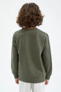 DeFacto Boys' Crew Neck Sweatshirt - Image 5