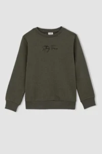DeFacto Boys' Crew Neck Sweatshirt - Image 6
